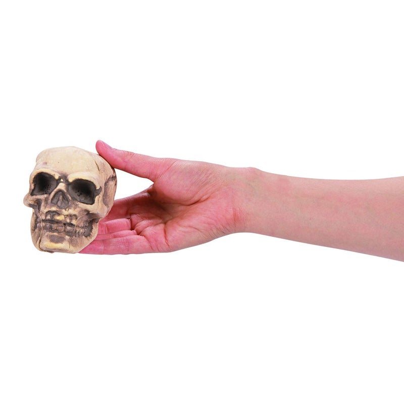 Fun Express Small Skulls for Halloween - Set of 3 - Use for Shrunken Heads and Scary Home Decor - Image 2